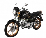 ZIPP NEKEN